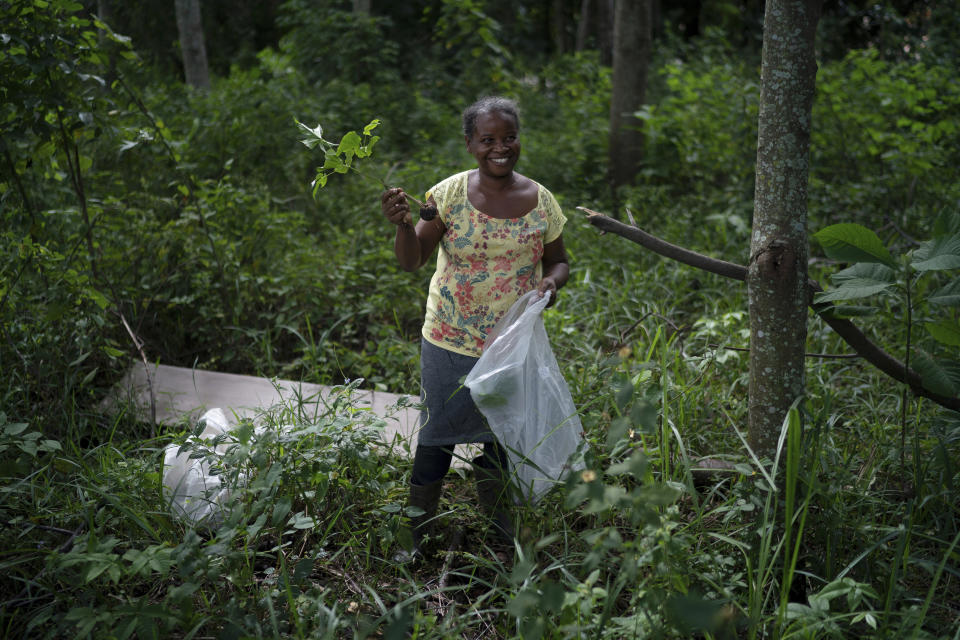 Maria Coelho da Fonseca Machado Moraes, nicknamed Dona Graça, smiles as she holds up a sprouting seed from a collection of forest species from the Atlantic Forest, at her nursery in an urban area of Casimiro de Abreu, Brazil, Tuesday, April 16, 2019. As she nears 50, Dona Graça says she is furious at what has happened to the forest, which was whittled down to allow for the urban expansion of Rio de Janeiro and Sao Paulo. She deplores “the stupidity and ignorance” of people who have “destroyed most of the trees and continue destroying them. So I’m trying … I can’t do too much, but the little I can do, I try to do it properly to rescue those trees.” (AP Photo/Leo Correa)