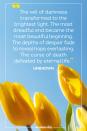 <p>The veil of darkness transformed to the brightest light. The most dreadful end became the most beautiful beginning. The depths of despair fade to reveal hope everlasting. The curse of death defeated by eternal life.</p><p>— Unknown</p>