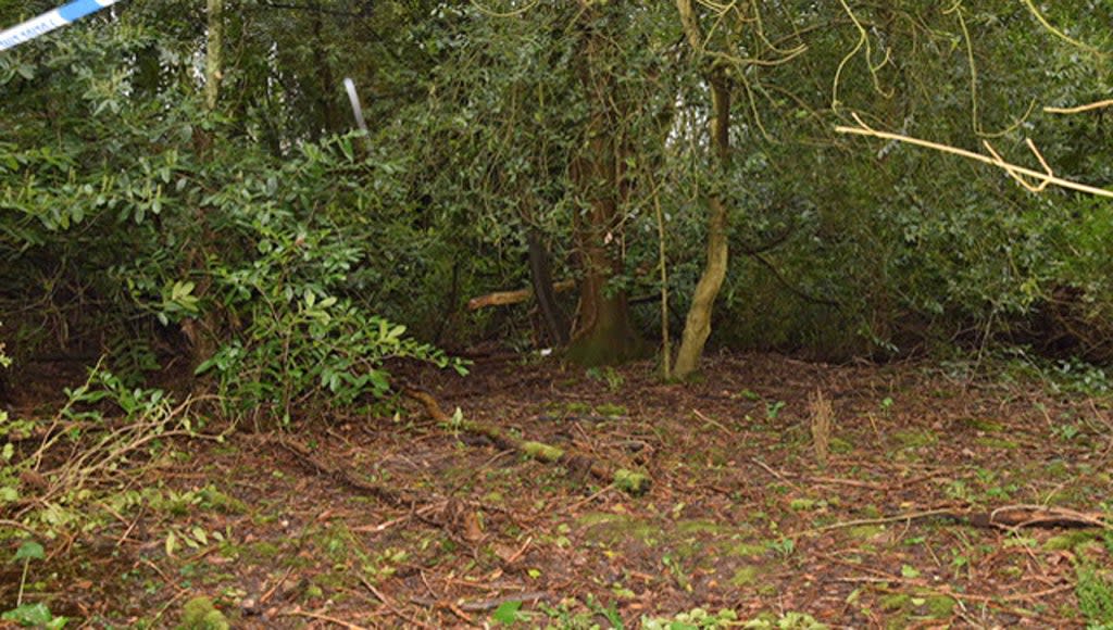 BEST QUALITY AVAILABLE A white towel (centre back) in the distance at the scene of woodland near Hythe (Hampshire Police/PA) (PA Media)