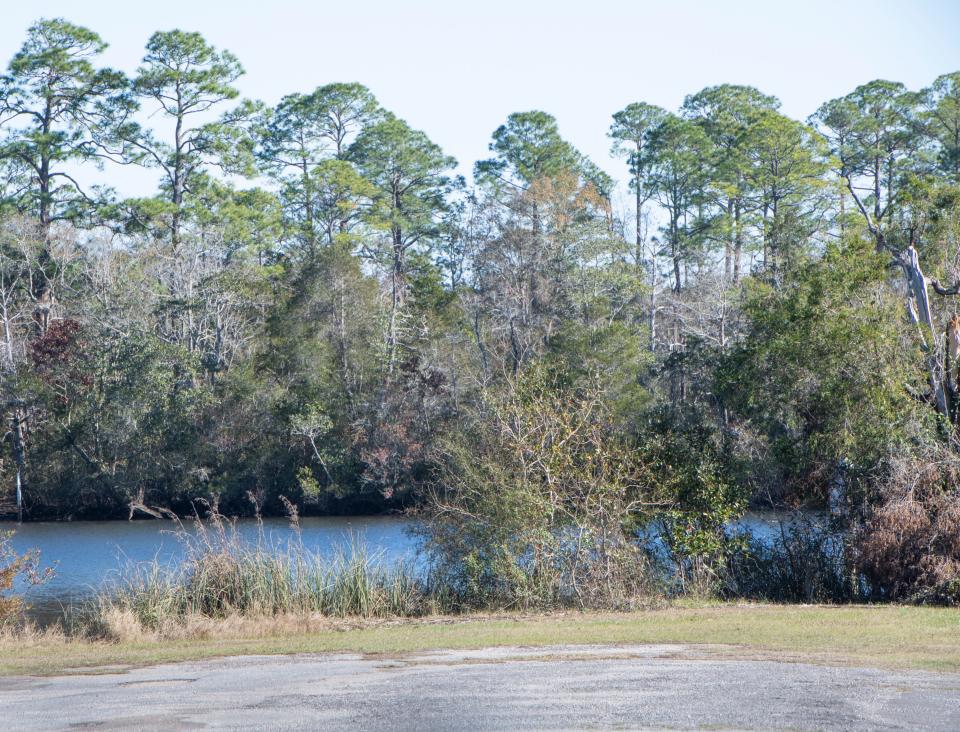 The Milton Marina on Quinn Street is pictured Jan. 4, 2021. The city has been acquiring parcels on either side of the marina for a project to revitalize the Blackwater riverfront.