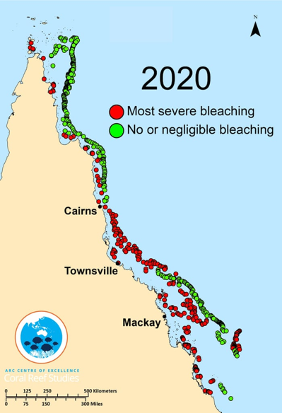 2020年大堡礁珊瑚白化區域(圖片來源：ARC Centre for Excellence in Coral Reef Studies)