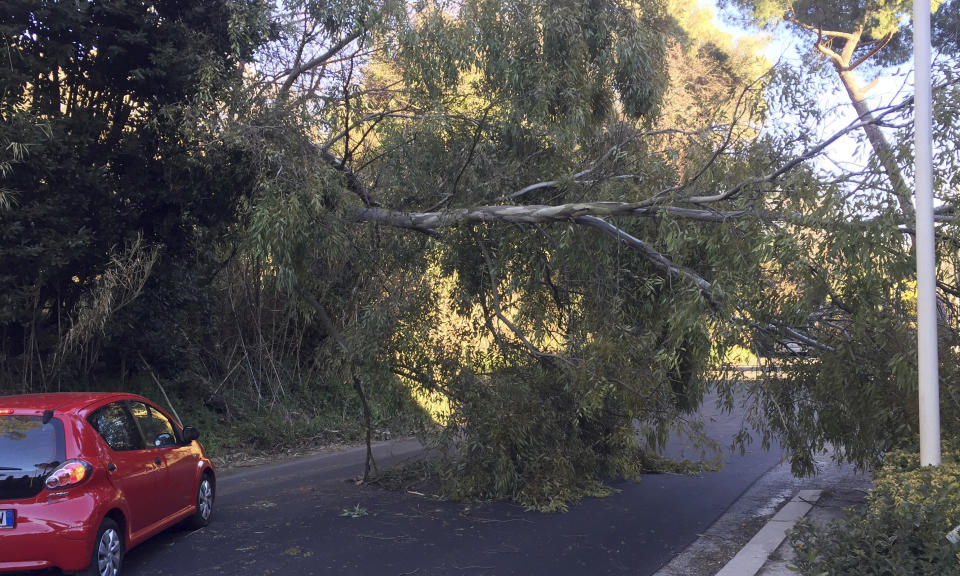 Roof during strong Winds.