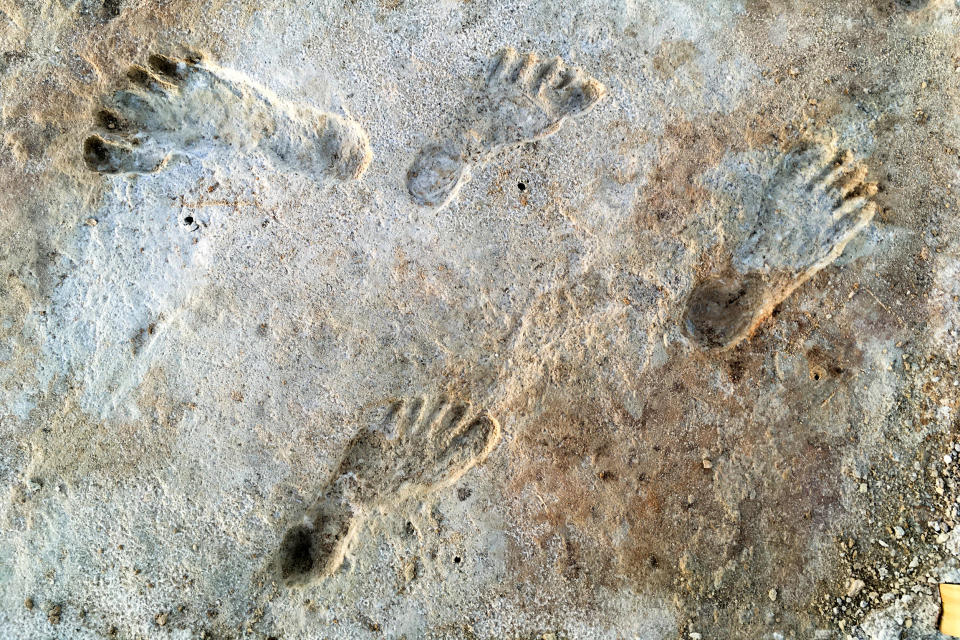 New research into the ancient footprints at White Sands National Park establishes they are the earliest-known evidence of humans in North America. (NPS, USGS and Bournemouth University)