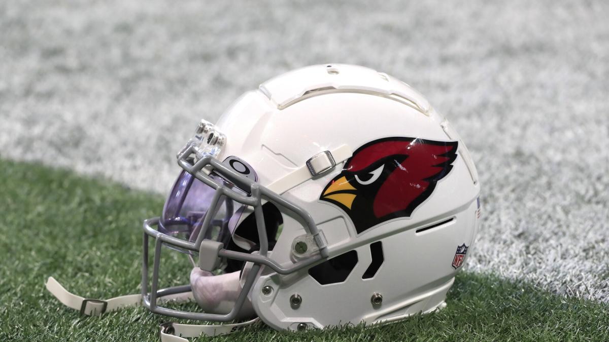 Cardinals sign linebacker David Anenih amid injuries - Revenge of the Birds