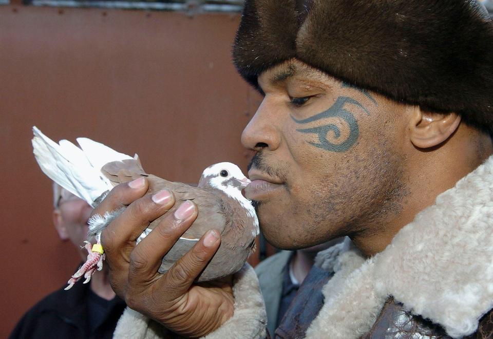 Mike Tyson and pigeons.