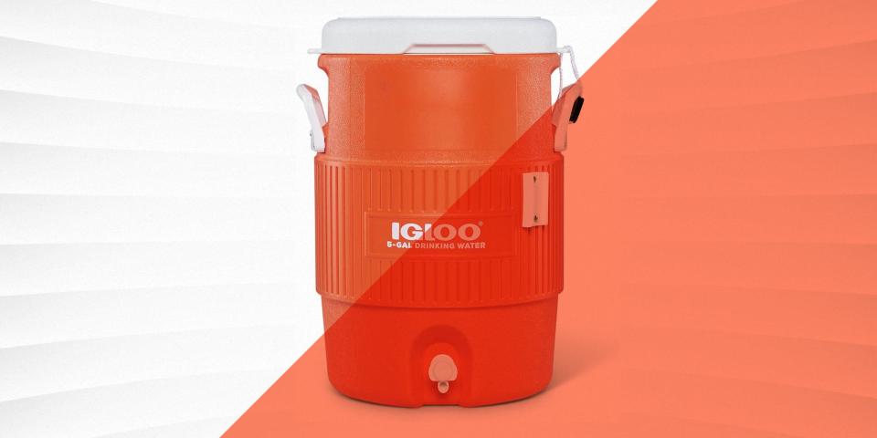 The 12 Best Water Coolers for Fresh Water on Demand