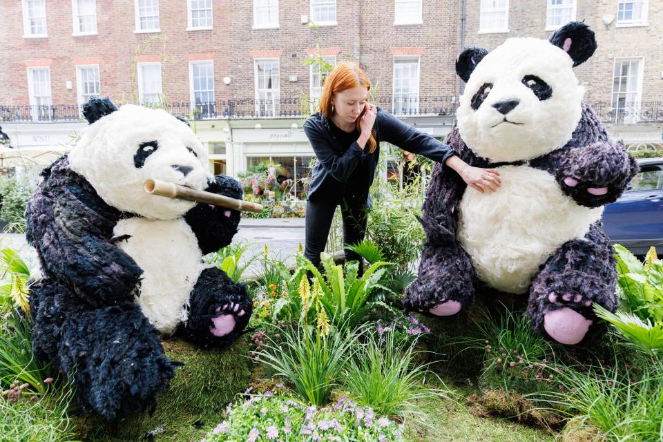 <p><strong>Belgravia in Bloom, London's free flower festival in partnership with the </strong><strong>London Wildlife Trust, has released a first-look at some of this year's beautiful floral </strong><strong>installations. </strong></p><p>The neighbourhood's annual flower festival is now officially open, running until 29th May. This year's theme, Into The Wild, celebrates all things great and small, inspiring Londoners to connect with nature. The displays this year also honour the <a href="https://www.housebeautiful.com/uk/garden/plants/a42778137/king-charles-coronation-flowers/" rel="nofollow noopener" target="_blank" data-ylk="slk:Coronation;elm:context_link;itc:0;sec:content-canvas" class="link ">Coronation</a> and King Charles III’s love of conservation and environmentalism, with subtle nods to the 'Kings' and 'Queens' of the jungle. </p><p>In partnership with <a href="https://www.wildlondon.org.uk/support-us/donate" rel="nofollow noopener" target="_blank" data-ylk="slk:London Wildlife Trust;elm:context_link;itc:0;sec:content-canvas" class="link ">London Wildlife Trust</a>, who are working with Belgravia in Bloom to utilise biodiversity-boosting flowers for the 2023 festival, visitors can enjoy pop-ups, events and experiences such as the London Wildlife Trust’s hedgehog van in Eccleston Yards where festival-goers can make their own ‘seed bombs’ to support biodiversity in their own <a href="https://www.housebeautiful.com/uk/garden/" rel="nofollow noopener" target="_blank" data-ylk="slk:gardens;elm:context_link;itc:0;sec:content-canvas" class="link ">gardens</a>. </p><p>Local shops and restaurants – including Biscuiteers, Peggy Porschen and Bayley & Sage – will also get into the festival spirit, coming together to host floral-themed events and transform their food and drink menus in line with this year's theme. </p><p>And, of course, the floral displays are the main event. From Neill Strain’s family of peacocks on Motcomb Street, to <a href="https://www.moysesflowers.co.uk/" rel="nofollow noopener" target="_blank" data-ylk="slk:Moyses Stevens;elm:context_link;itc:0;sec:content-canvas" class="link ">Moyses Stevens</a>' playful floral jeep and Judith Blacklock’s tunnel of orchids, here are some of the awe-inspiring installations you'll see at <a href="https://www.belgravialdn.com/brand-directory/whats-on/" rel="nofollow noopener" target="_blank" data-ylk="slk:Belgravia in Bloom 2023;elm:context_link;itc:0;sec:content-canvas" class="link ">Belgravia in Bloom 2023</a>. </p>