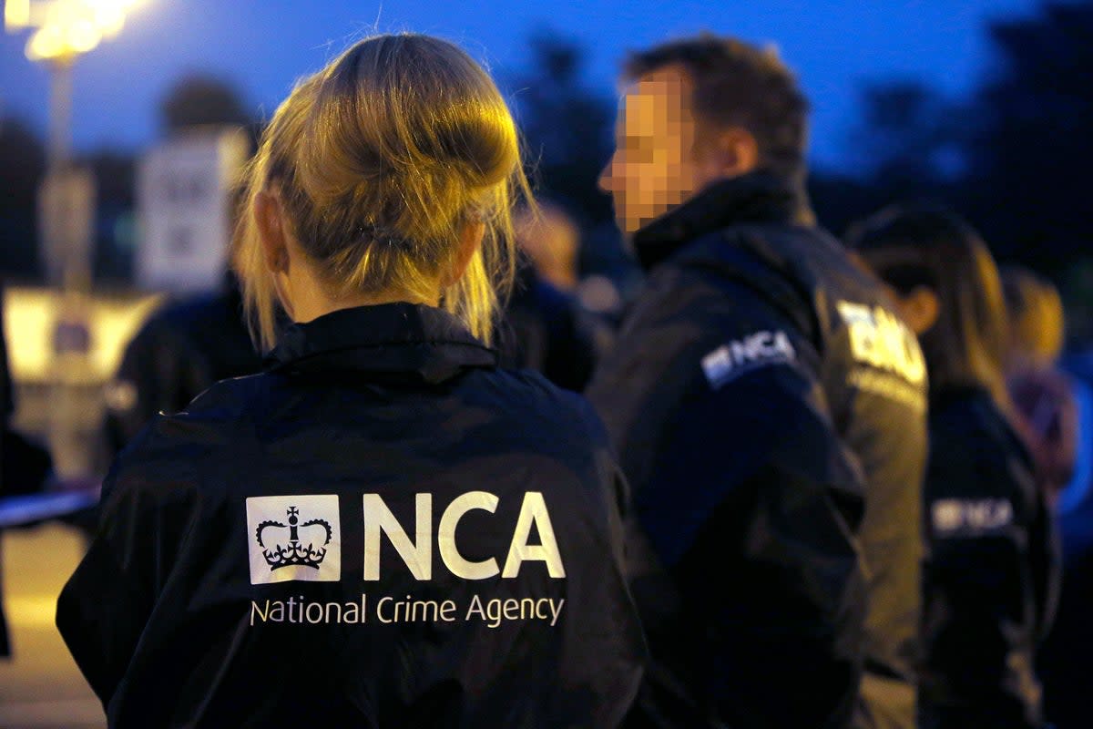The National Crime Agency worked with Romanian police to track down Vasile Costache (PA)