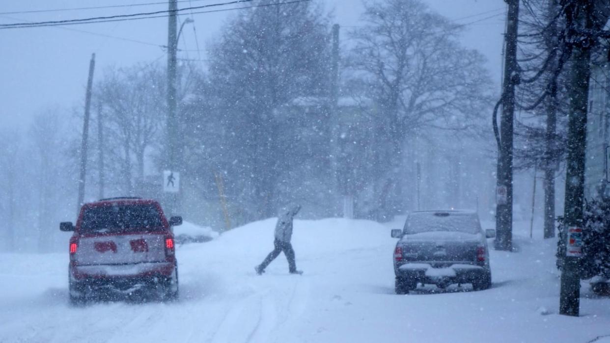 Weather advisories and winter storm warnings remain in effect for much of Newfoundland and Labrador Thursday, with schools and some services closed for the morning.   (Patrick Butler/Radio-Canada - image credit)