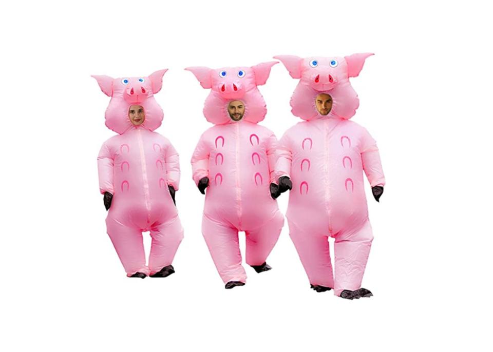 16) Three Pigs