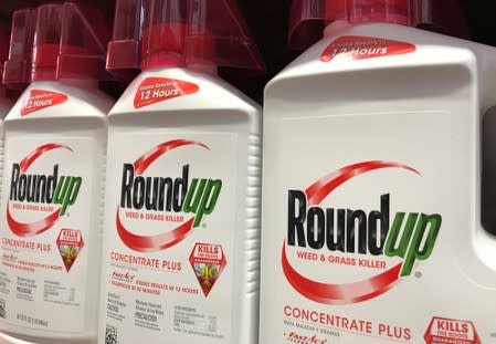 FILE PHOTO: Bayer unit Monsanto's Roundup shown for sale in California
