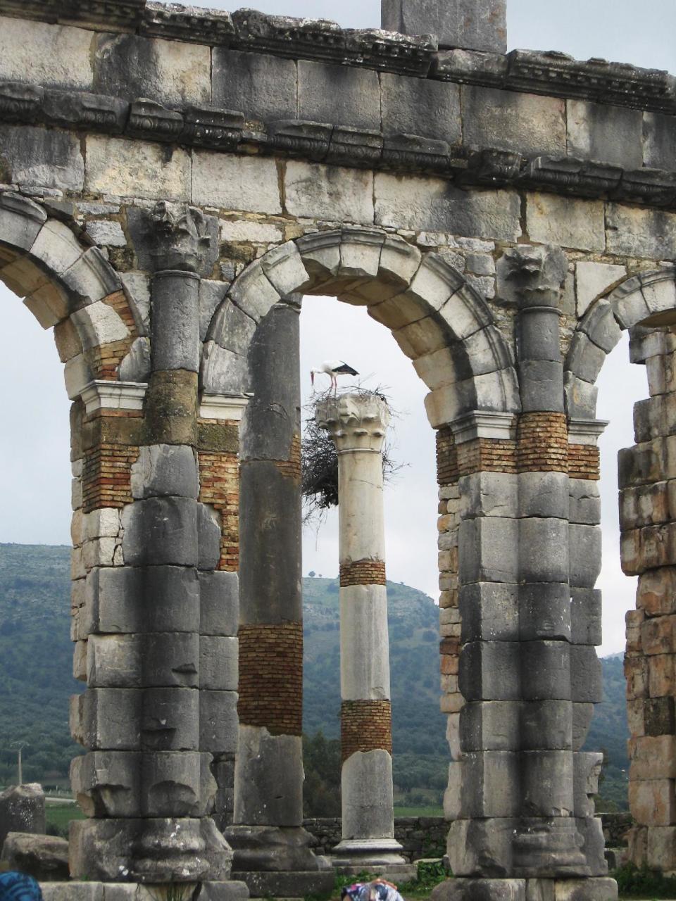 This January 2013 photo shows the ruins of a basilica in Volubilis, a Roman city in Morocco. Storks nest on top of many archaeological sites across the country. (AP Photo/Giovanna Dell'Orto)