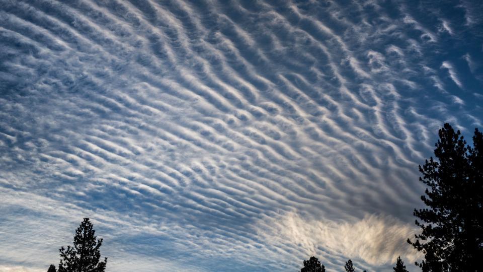 A photo of cloud streaks across the sky as viewed from below