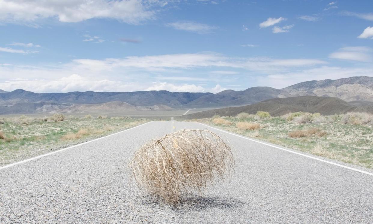 <span>Nothing to see here … our “annotated solution” page had nothing but tumbleweed.</span><span>Photograph: Chris Hackett/Tetra Images/Getty Images/Tetra images RF</span>