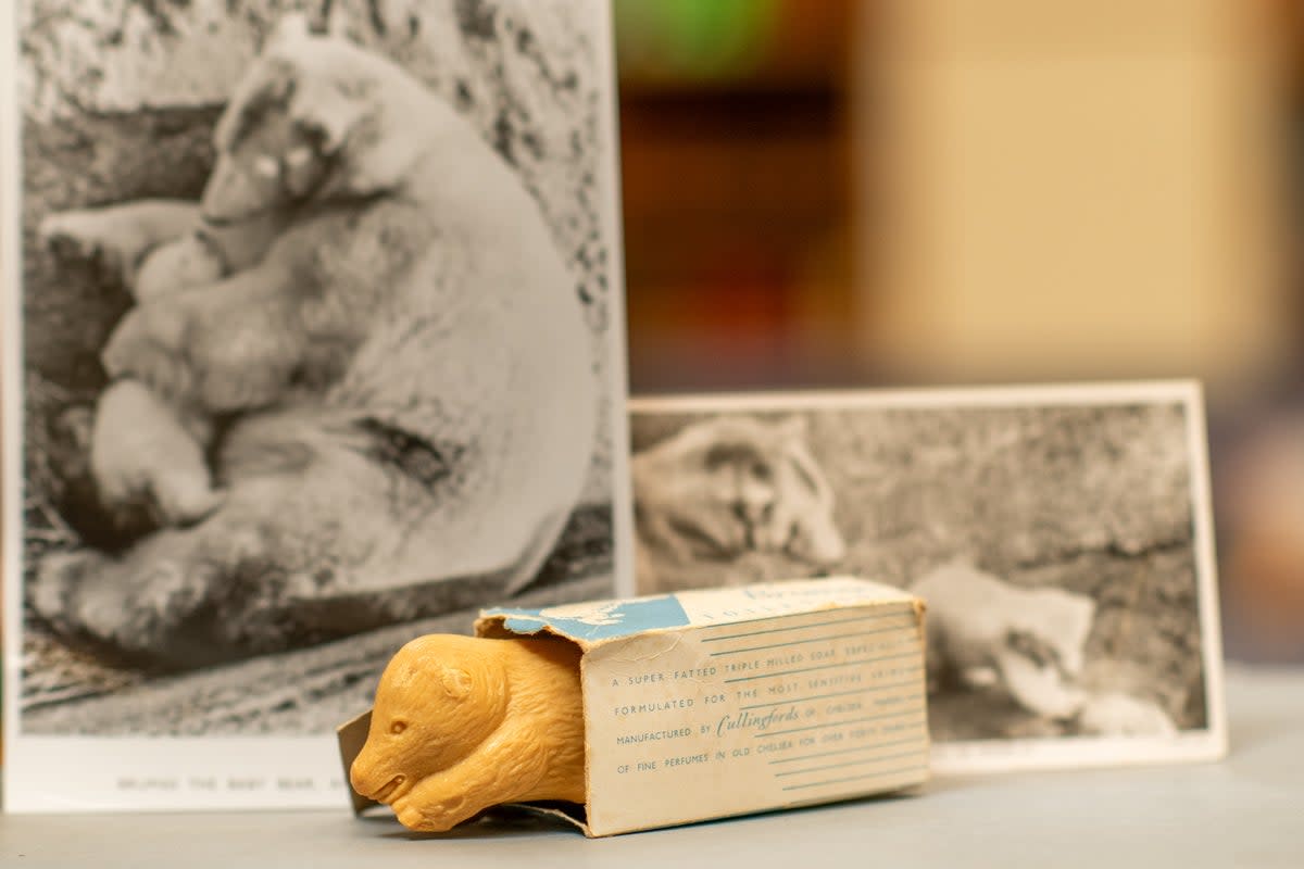 Cullingford's Baby Brumas toilet soap which marked the arrival of baby polar bear, Brumas, to London Zoo in 1949  (Jas Lehal, PA)