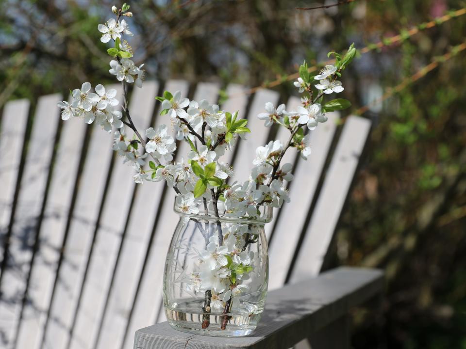 branch flowers outdoors vase decor centerpiece