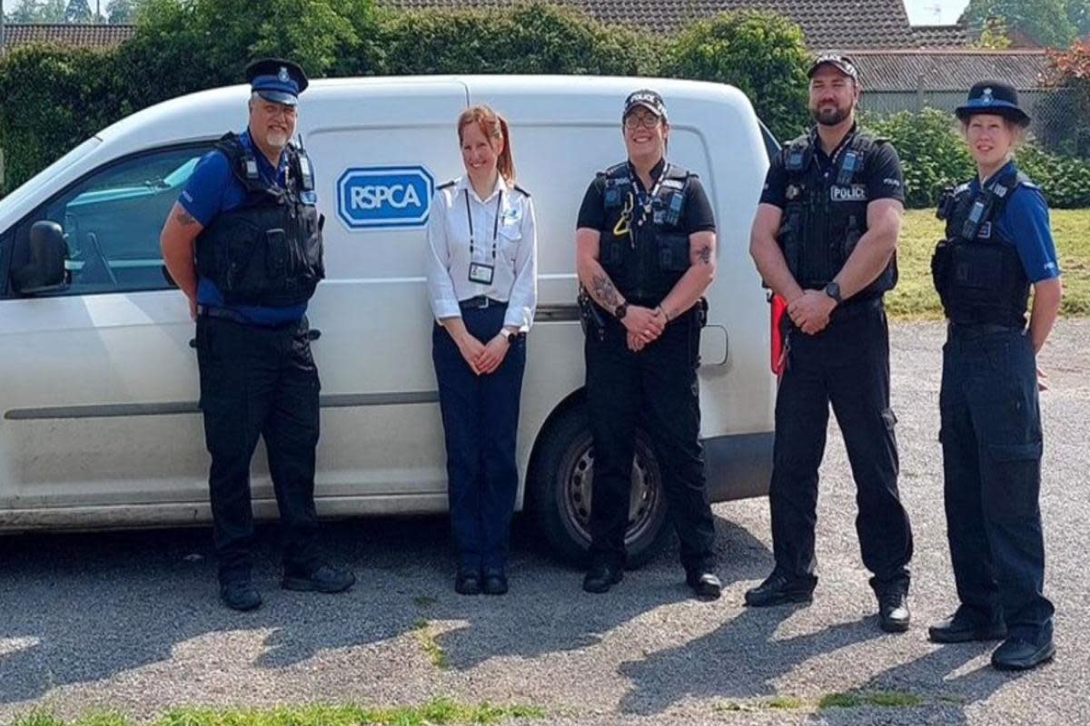 The police and RSPCA carried out the operation <i>(Image: Stowmarket police)</i>