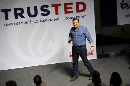 U.S. Republican presidential candidate Ted Cruz takes the stage at campaign stop Dordt College in Sioux Center, Iowa January 5, 2016. REUTERS/Mark Kauzlarich