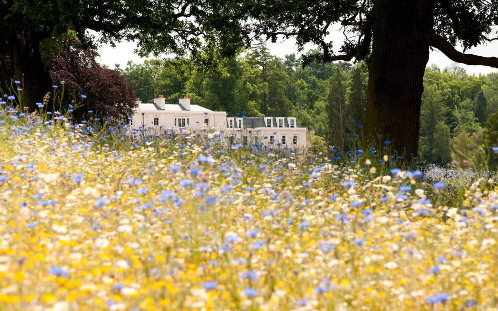 Late spring brings a special reason for visiting the spoiling contemporary country house hotel that is Coworth Park