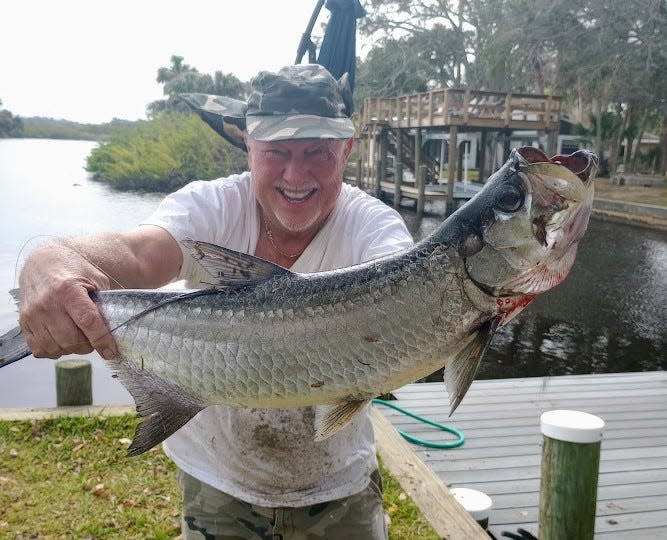 Norm Echelberry caught (and released) this juvenile tarpon this past Sunday in the Tomoka River, off his back dock in Tomoka Estates. "It jumped three times and jerked, but I remembered to keep the rod down and tired it out," Norm said. It measured 31 inches. He caught it on a Rapala Xrap 8.