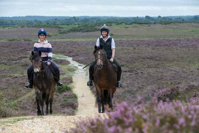 Autumn riding in the New Forest