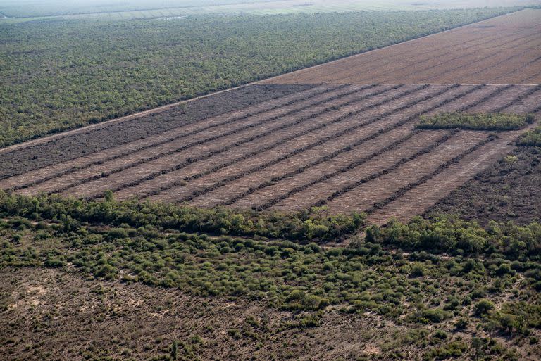 Deforestación documentada en junio de 2022 en Formosa