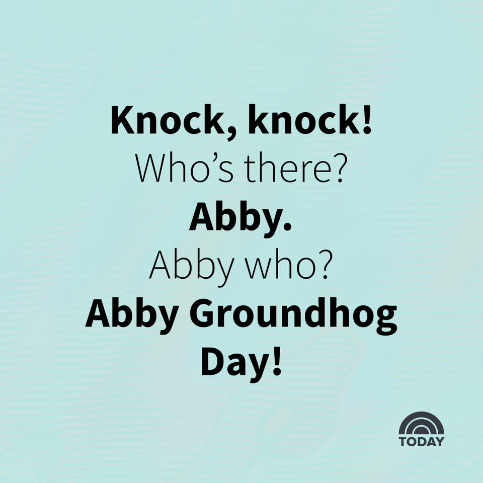 Groundhog Day Jokes