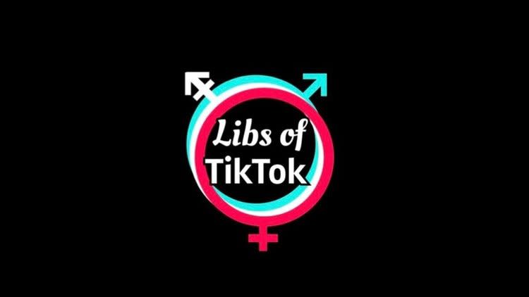 Chaya Raichik Libs of TikTok