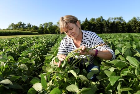 Vannessa Kummer checks soybean crop Colfax, North Dakota