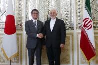 Iranian Foreign Minister Mohammad Javad Zarif meets with Japanese Foreign Minister Taro Kono in Tehran