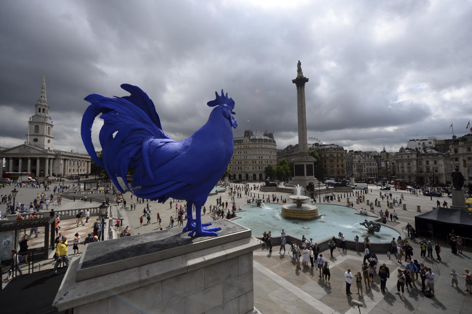 A giant blue rooster is unveiled in central London's Trafalgar Square, Thursday, July 25, 2013. A giant blue rooster was unveiled Thursday next to the somber military monuments in London's Trafalgar Square. German artist Katharina Fritsch’s 15-foot (4.7 meter) ultramarine bird, titled "Hahn/Cock," is intended as a playful counterpoint to the statues of martial heroes in the square. It is the latest in a series of artworks to adorn the vacant "Fourth Plinth" in the square that is home to Nelson's Column. (AP Photo/Andy Rain, Pool)