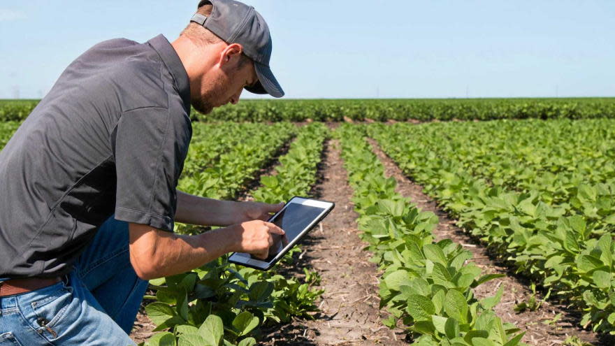 En el campo ya se aplica inteligencia artificial, internet de las cosas y blockchain, entre otras innovaciones