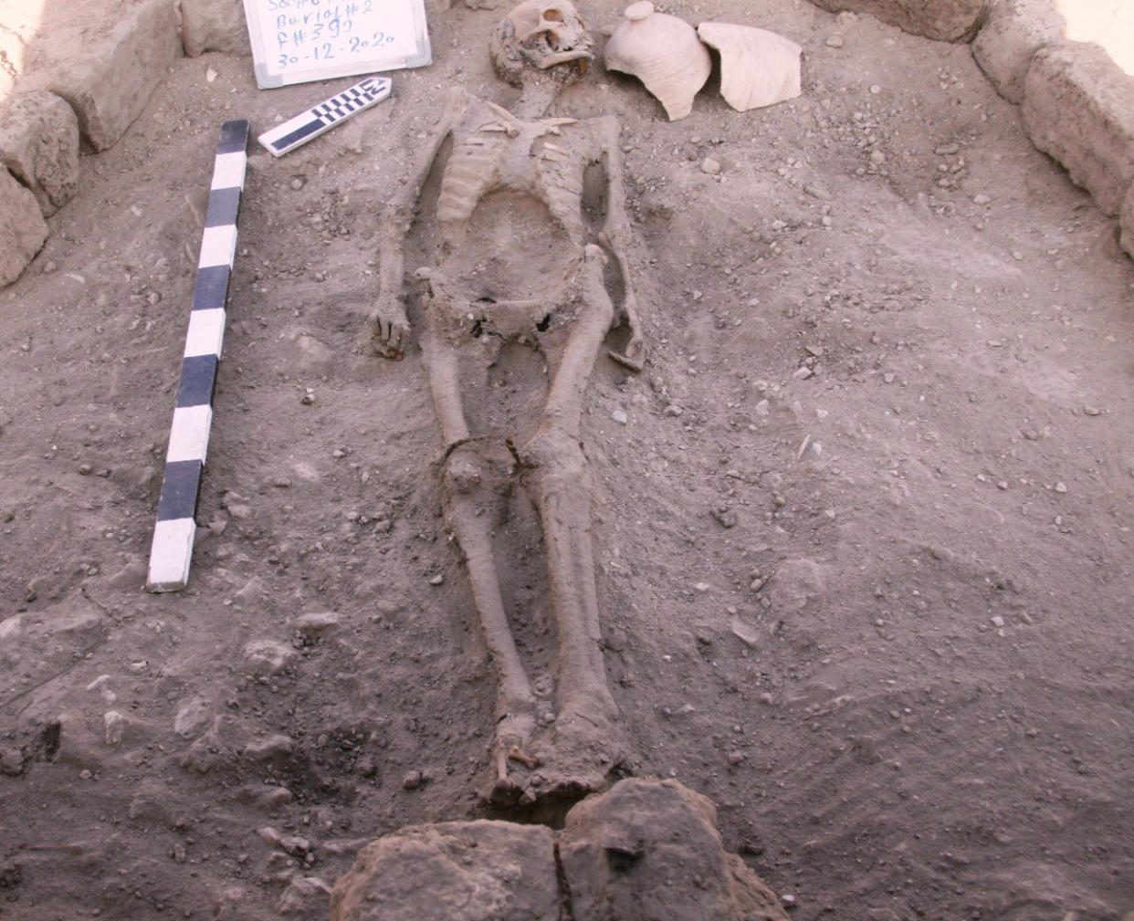 Image: A skeletal human remain is seen in Luxor (Zahi Hawass Center for Egyptology / via Reuters)