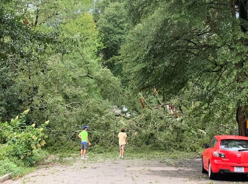 Severe thunderstorms on Aug. 15, 2023 knocked down trees throughout Durham, N.C., including this one, which blocked Monmouth Avenue in the Old North Durham neighborhood.
