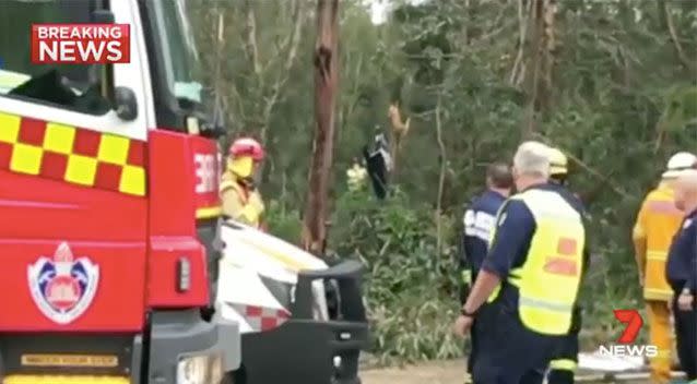 Emergency services lined the Pacific Highway. Source: 7 News