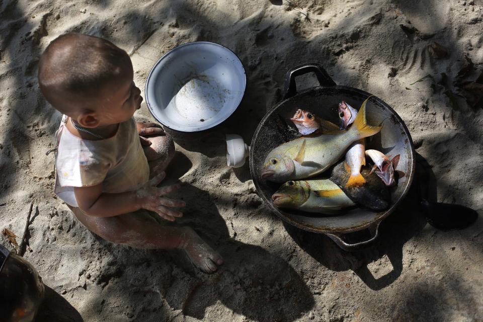 In this Sunday, Feb. 9, 2014 photo, a Moken child, nomads of the sea, looks at a pan with freshly caught fish for lunch on Island 115 in Mergui Archipelago, Myanmar. The child is a part of a Moken group of several families spending 10 days hunting for squid and whatever else they can collect before returning to their village on another island toward Myanmar’s southwestern coast with a lacework of 800 islands, what is known as the Lost World. Isolated for decades by the country’s former military regime and piracy, the Mergui archipelago is thought by scientists to harbor some of the world’s most important marine biodiversity and looms as a lodestone for those eager to experience one of Asia’s last tourism frontiers before, as many fear, it succumbs to the ravages that have befallen many of the continent’s once pristine seascapes. (AP Photo/Altaf Qadri)