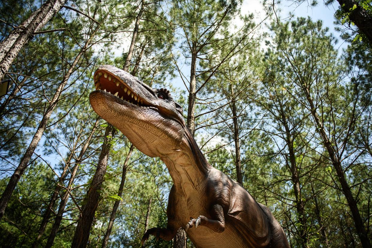Sweet Valley Ranch will open one of its most popular attractions, Dinosaur World on June 10. 