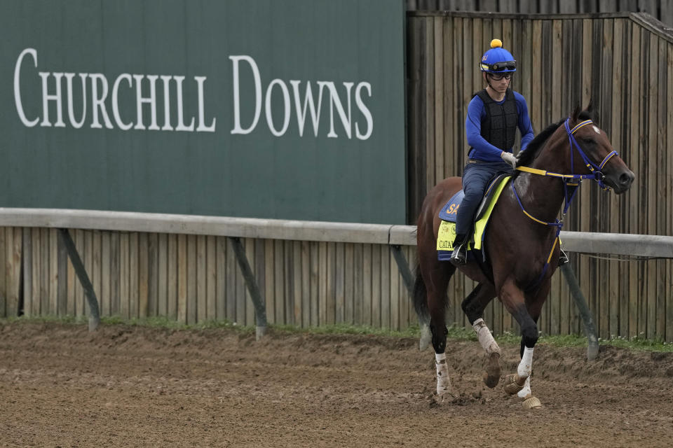 Kentucky Derby hopeful Catalytic works out at Churchill Downs Tuesday, April 30, 2024, in Louisville, Ky. The 150th running of the Kentucky Derby is scheduled for Saturday, May 4. (AP Photo/Charlie Riedel)