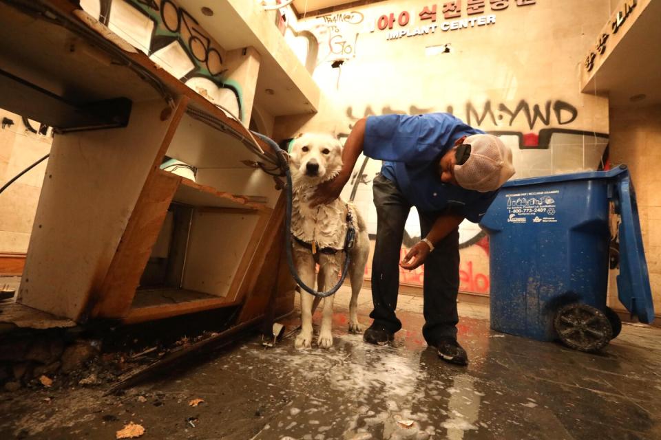 A man bathes his dog