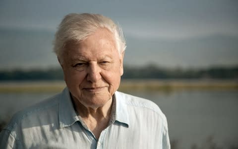 Sir David Attenborough  - Credit: BBC