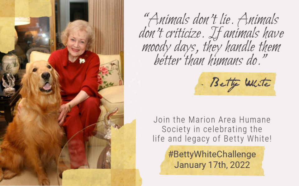 The Betty White Challenge took social media by storm, encouraging animal-lovers to donate to local animal shelters and humane societies in her honor on what would have been her 100th birthday.