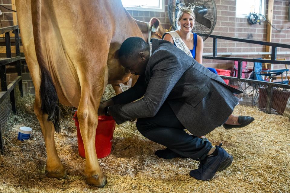 His Majesty William Wilberforce Kadhumbula Gabula Nadiope IV, King of Busoga, Uganda, milks a cow in the Cattle Barn at the Iowa State Fair on Monday.