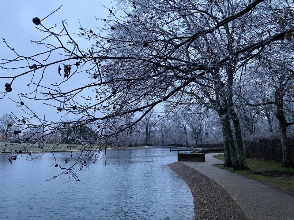 Ice blankets over Memphis and the Mid-South on Tuesday, Jan. 31, 2023. Ice covers all the trees at Overton Park.