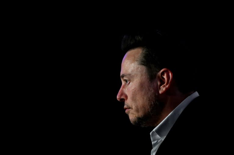 Tech mogul Elon Musk has attacked the Australian government over proposed misinformation laws (Sergei GAPON)