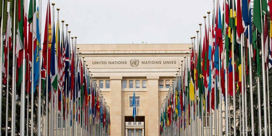 The flags of 193 UN member states fly in front of the entrance to the Palais des Nations in Geneva, where the institutions of this organization are located