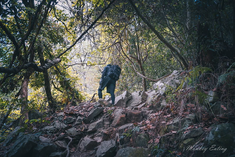 谷關七雄｜波津加山