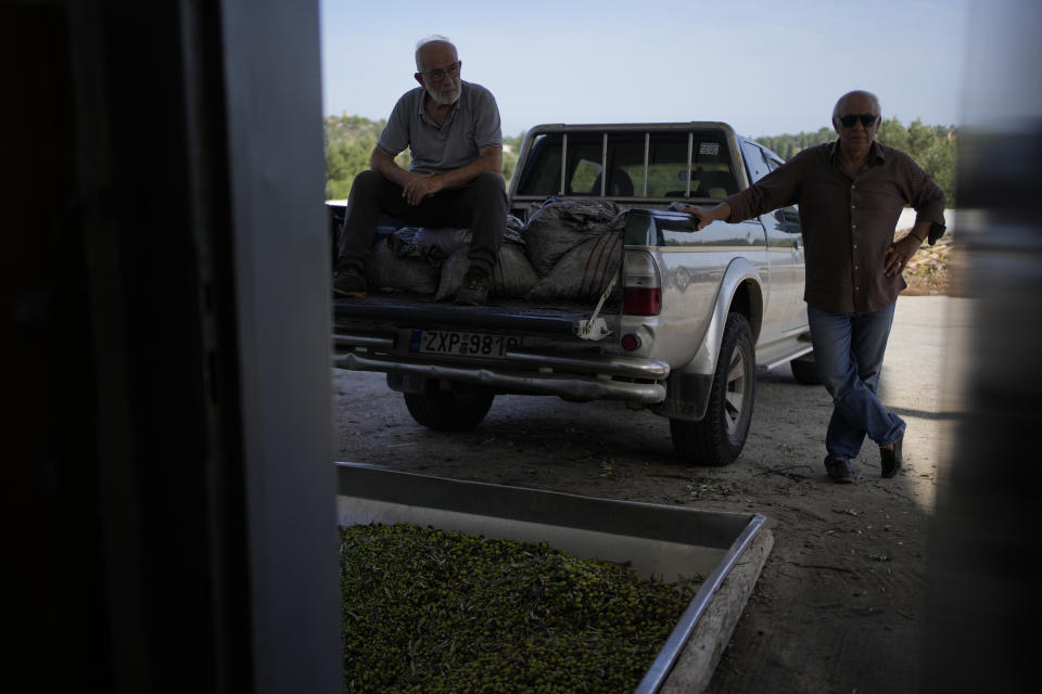 Two men wait to unload olives into a loading bin at an olive oil mill in Spata suburb, east of Athens, Greece, Monday, Oct. 23, 2023. Across the Mediterranean, warm winters, massive floods, and forest fires are hurting a tradition that has thrived for centuries. Olive oil production has been hammered by the effects of climate change, causing a surge in prices for southern Europe's healthy staple. (AP Photo/Thanassis Stavrakis)