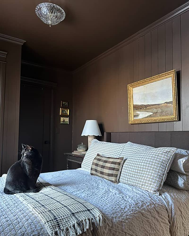 Cat sitting on bed in newly remodeled room.