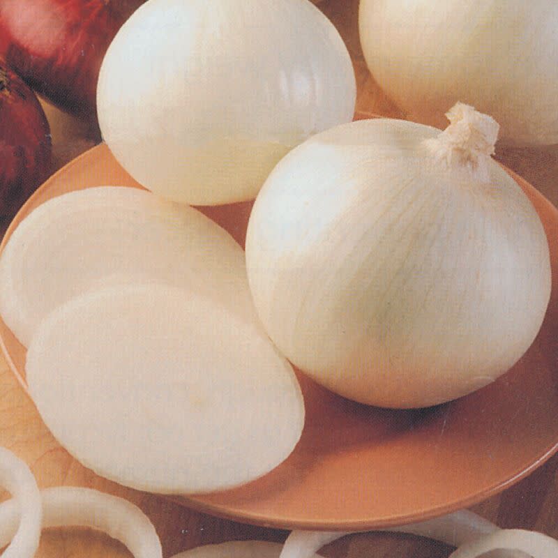 <p><a href="https://www.johnnyseeds.com/vegetables/onions/onion-plants/sierra-blanca-f1-onion-plants-67.html#tabpanel_2-1" rel="nofollow noopener" target="_blank" data-ylk="slk:Shop Now;elm:context_link;itc:0;sec:content-canvas" class="link ">Shop Now</a></p><p>Sierra Blanca Bulbing Onions</p><p>johnnyseeds.com</p><p>$21.85</p><span class="copyright">Johnny's Selected Seeds</span>