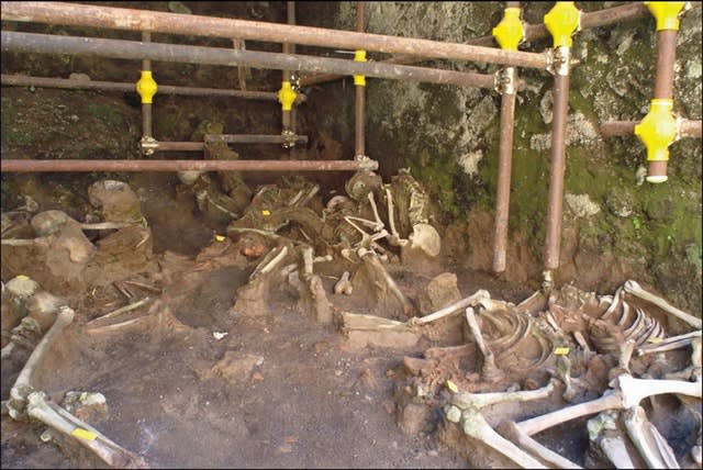 Remains preserved inside a stone chamber